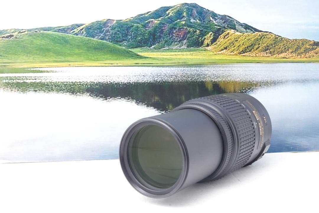 ニコン Nikon AF-S 55-300mm F4.5-5.6G VR