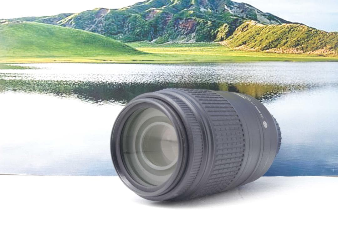 ニコン Nikon AF-S 55-300mm F4.5-5.6G VR