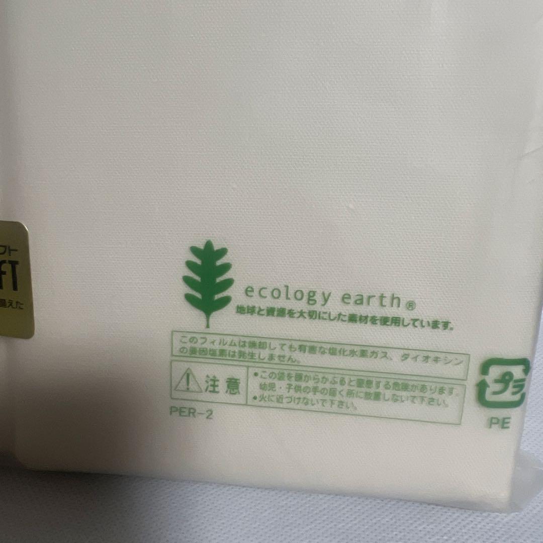 【新品未使用】西川 レムズホーム スーパーソフトフラットシーツ 2枚セット