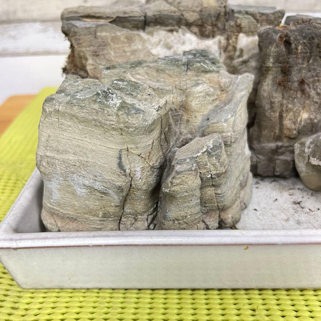 【5個セット】誉平(ポンピラ）石　自然石　水石　盆栽　鑑賞　台つき