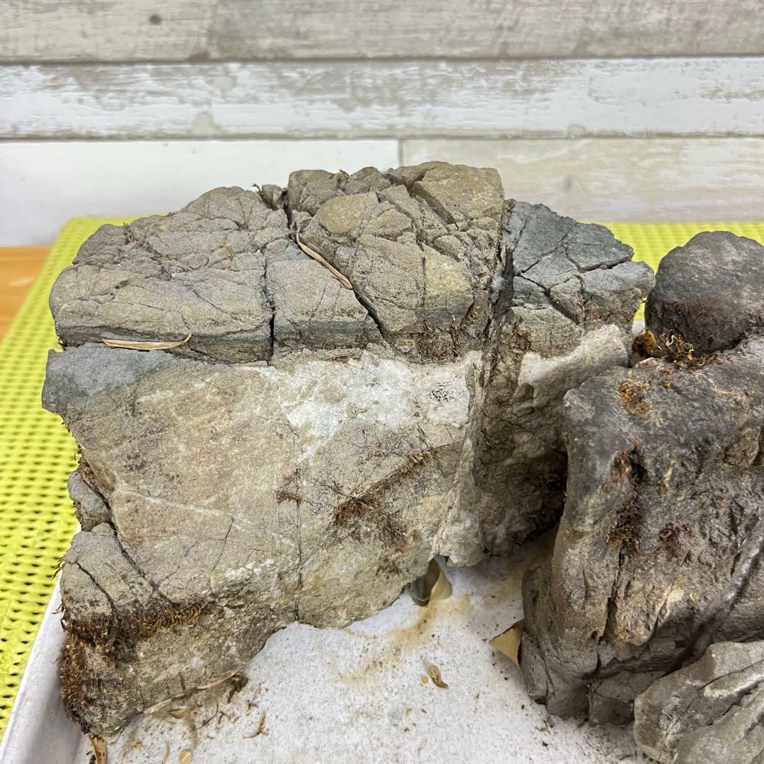 【5個セット】誉平(ポンピラ）石　自然石　水石　盆栽　鑑賞　台つき