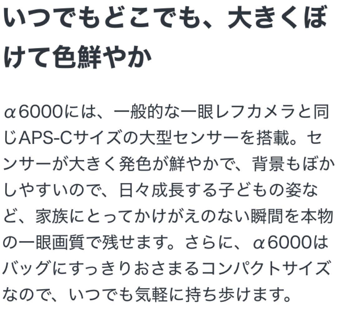 SONY αシリーズ ミラーレス一眼カメラ　α6000 ズームレンズ等満喫セット