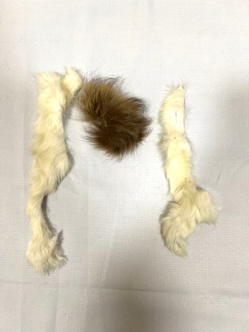 20471120 ニット　希少　ハンガー付き