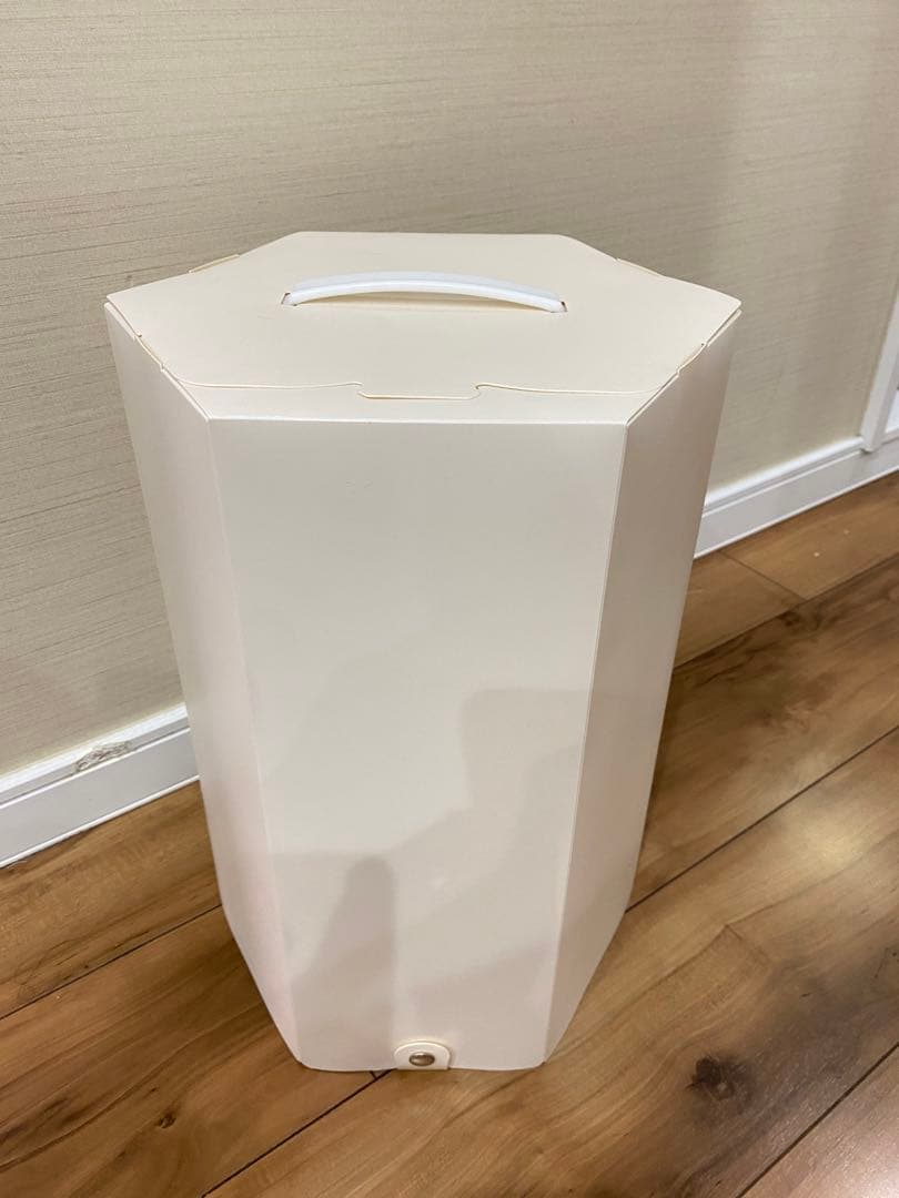 銀座ジュリアオージェで購入したウィッグ