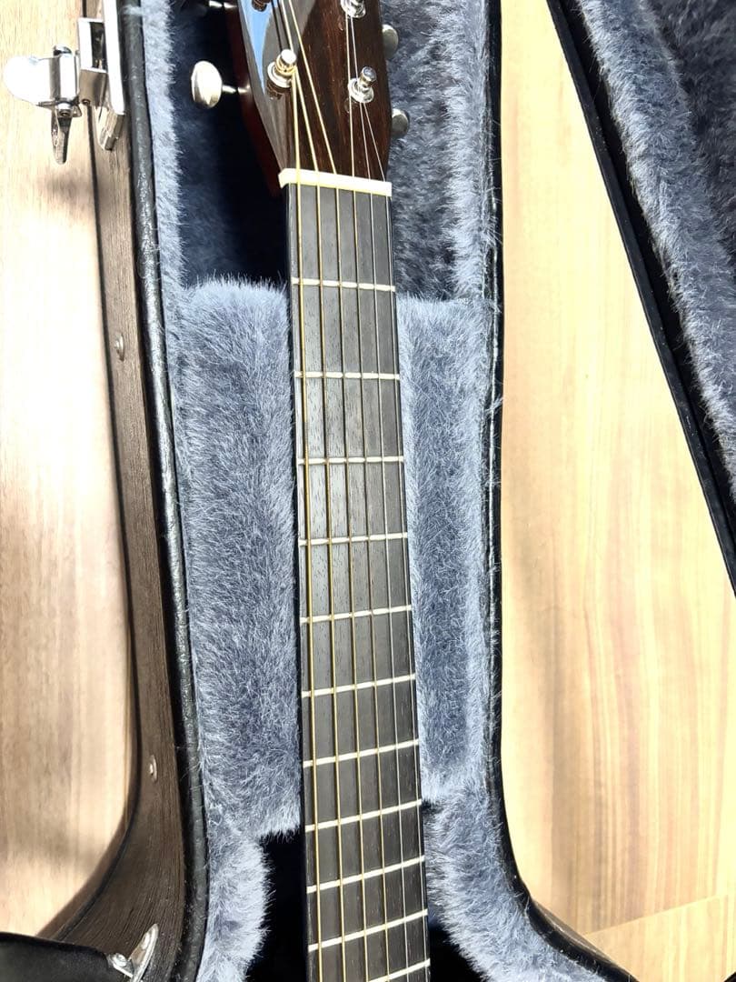 Morris アコースティックギター WF808