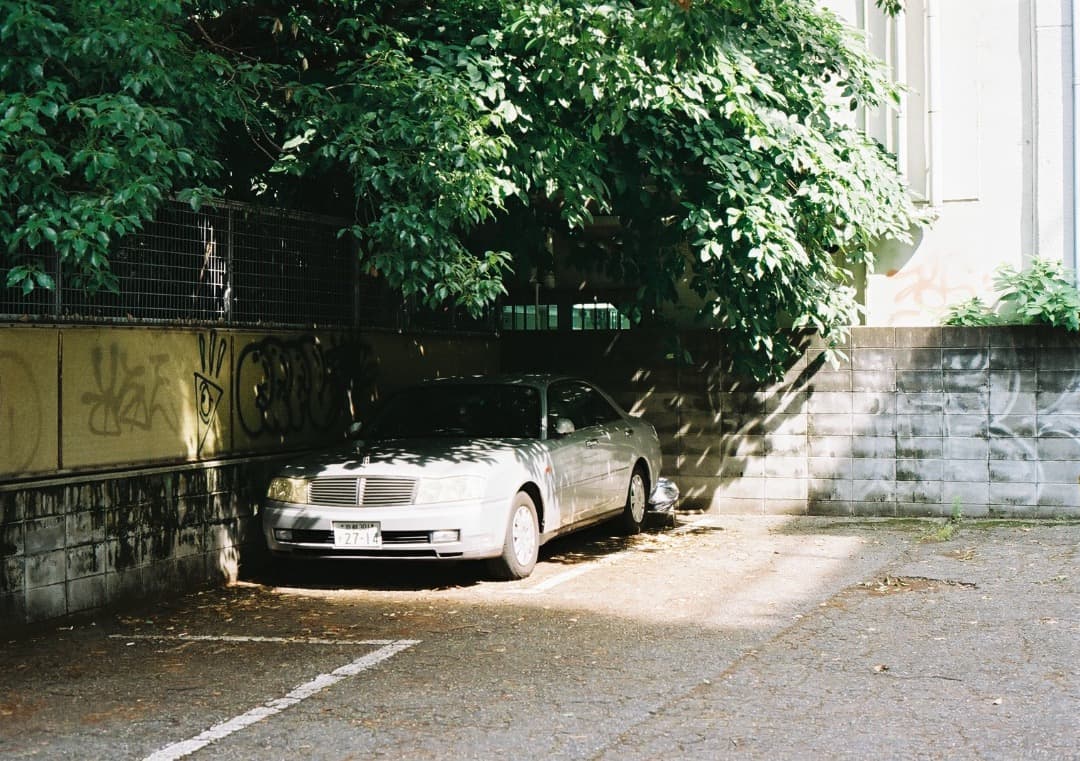 動作品・実写確認済 Canon EOS 5 QD＋EF 50mm f1.8Ⅱ