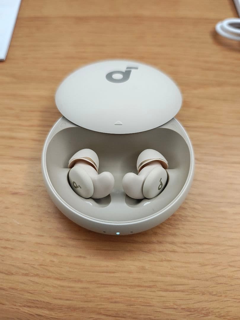 Anker Soundcore Sleep A20 睡眠用イヤホン