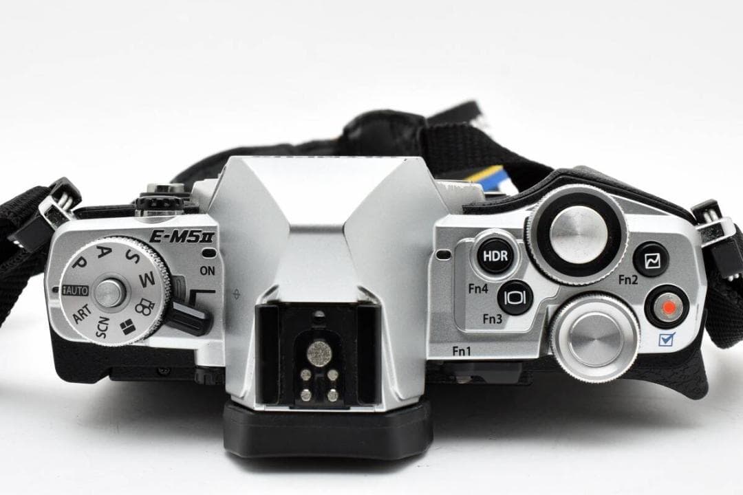 に*３様 オリンパス　OLYMPUS OM-D E-M5 Mark II ボディ