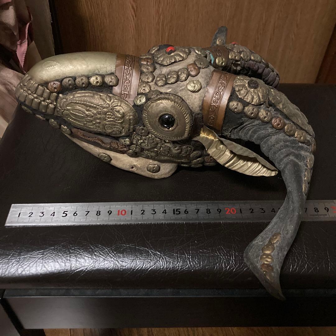 チベタンスカル　山羊