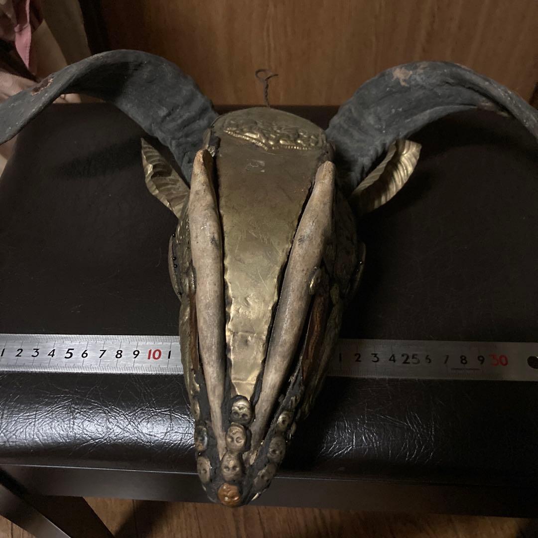 チベタンスカル　山羊