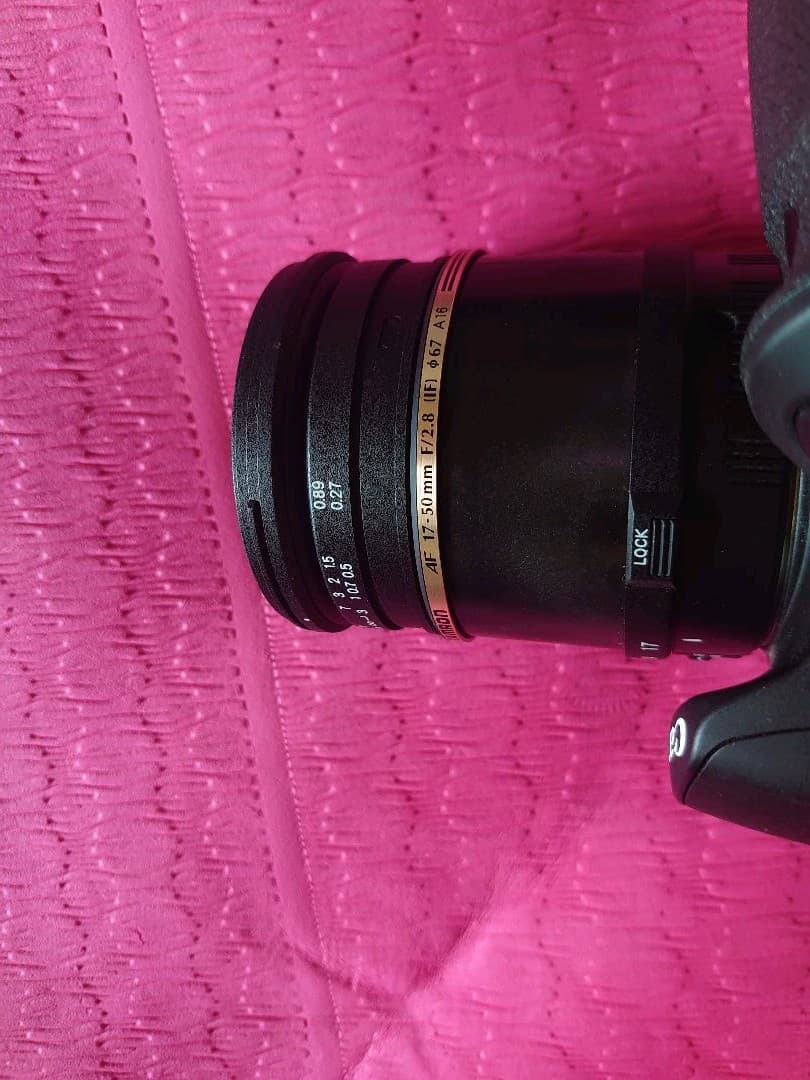 キヤノン キャノン Canon EOS 60D 2機 単焦点 ズームレンズ 純正