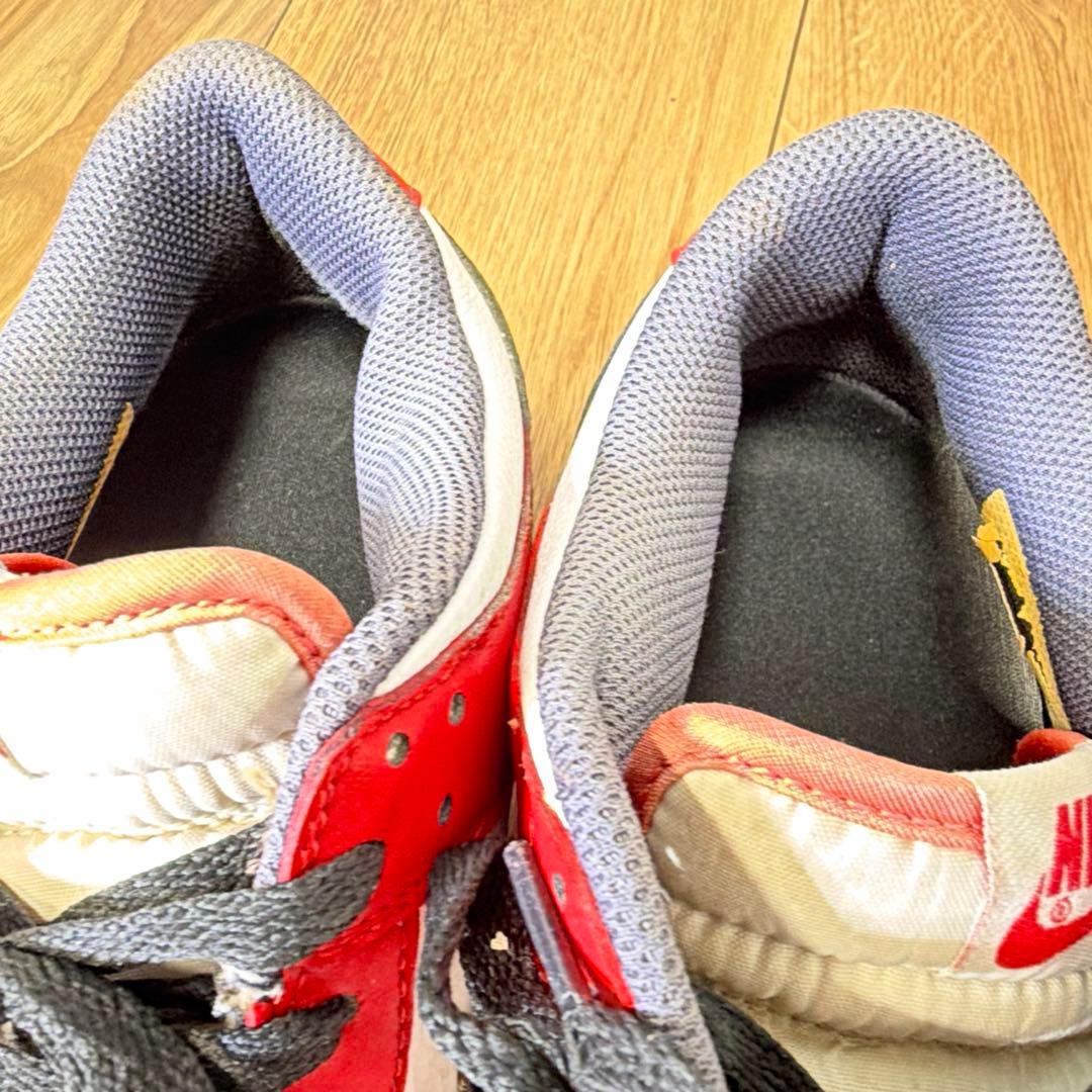 NIKE　DUNK　ナイキ　ゴルフ　27.0cm 488345-106