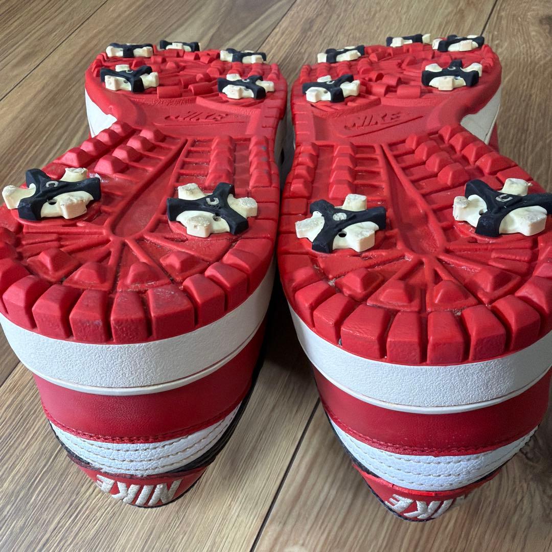 NIKE　DUNK　ナイキ　ゴルフ　27.0cm 488345-106