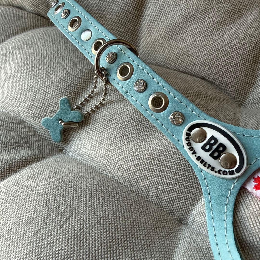 試着のみ☆BUDDY BELTSバディーベルト4号