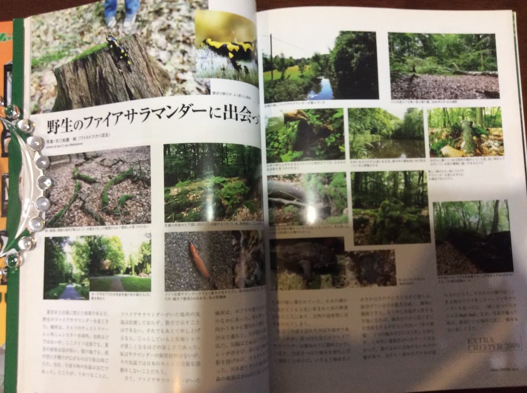 EXTRA CREEPER エクストラ・クリーパー 全4冊 誠文堂新光社