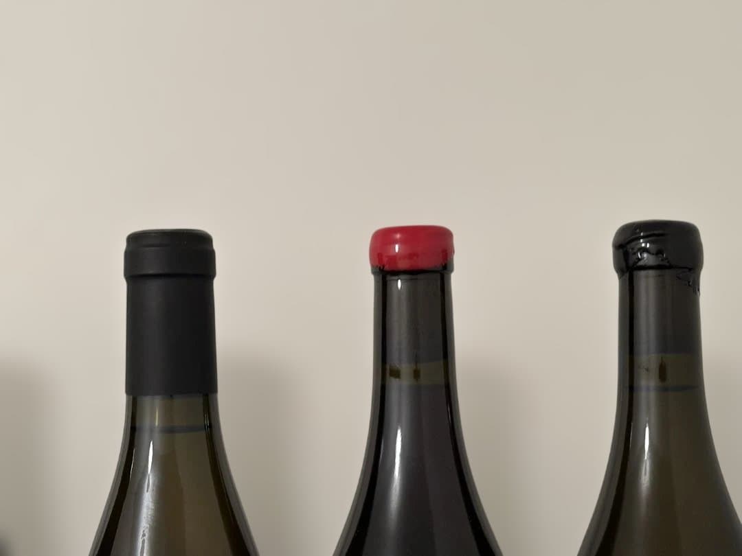 【特価】【自然派ワイン】ジュリアン ラベ、パタイユ、ルーセマルタン 6本セット