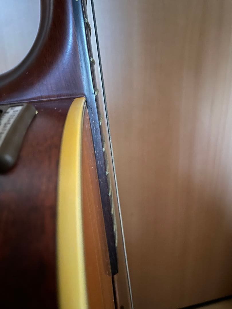 S*X様 Takamine EN-30C エレアコ