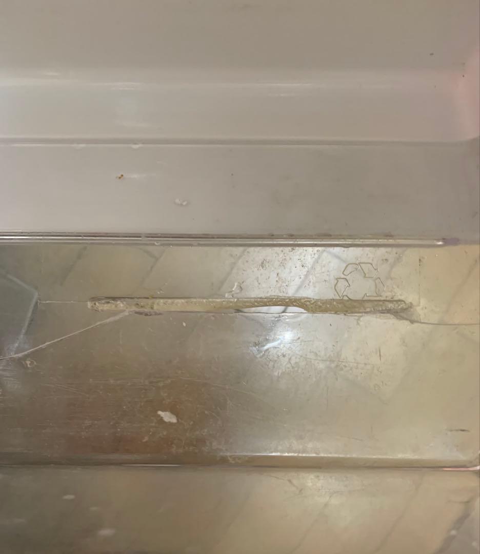 三菱電機　冷蔵庫・冷凍庫　146L 右開き2011年製　MR-P15S-S