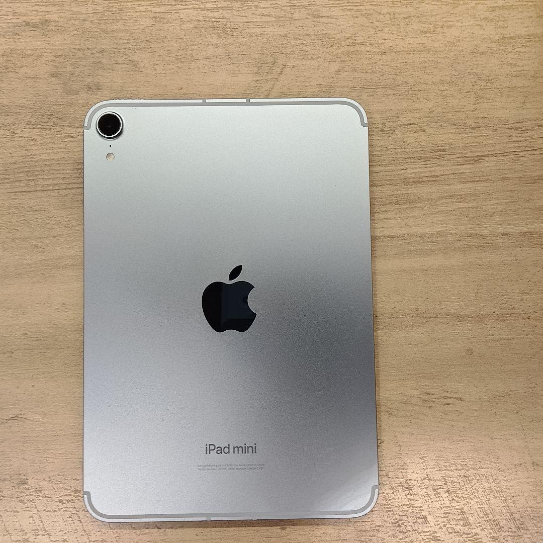 iPad mini A17Pro Cellularモデル（ブルー）