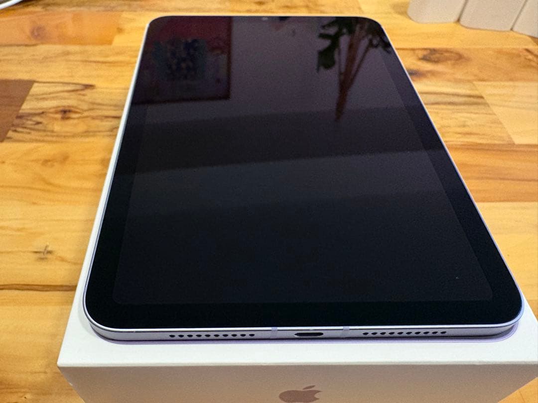 iPad本体 iPad mini6 256GB Cellular ,ApplePencil2