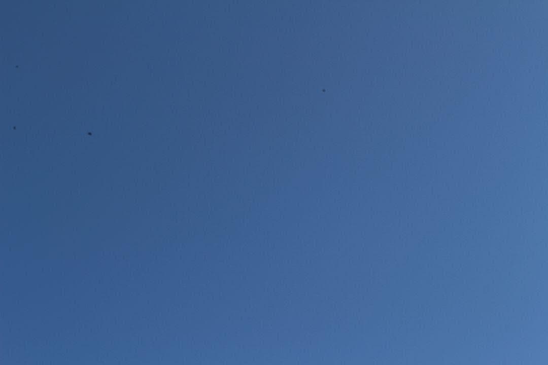 実用美品✨希少 ホワイト Canon EOS KissX7✨ショット数僅少 軽量