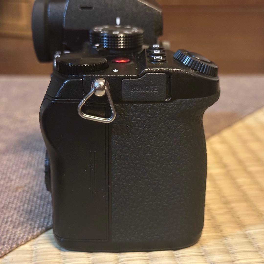 【美品】Panasonic LUMIX S5