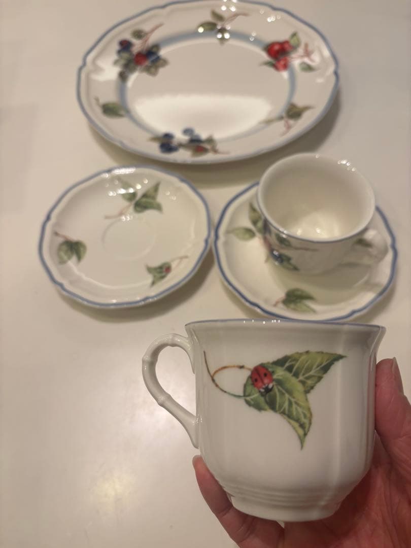 Villeroy & Boch 食器セット ベリー　フルーツ柄のセット