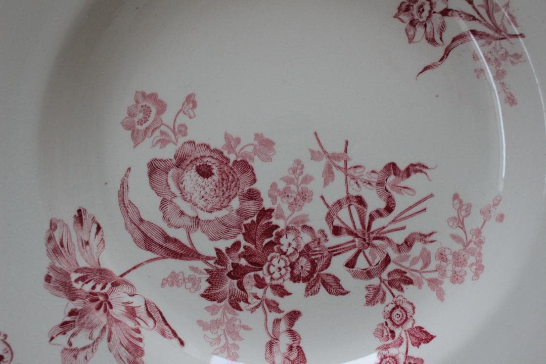 【B】【サルグミンヌ】フォンタンジュスーププレート /フランスアンティーク