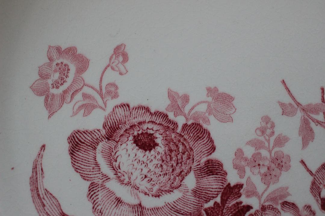 【B】【サルグミンヌ】フォンタンジュスーププレート /フランスアンティーク