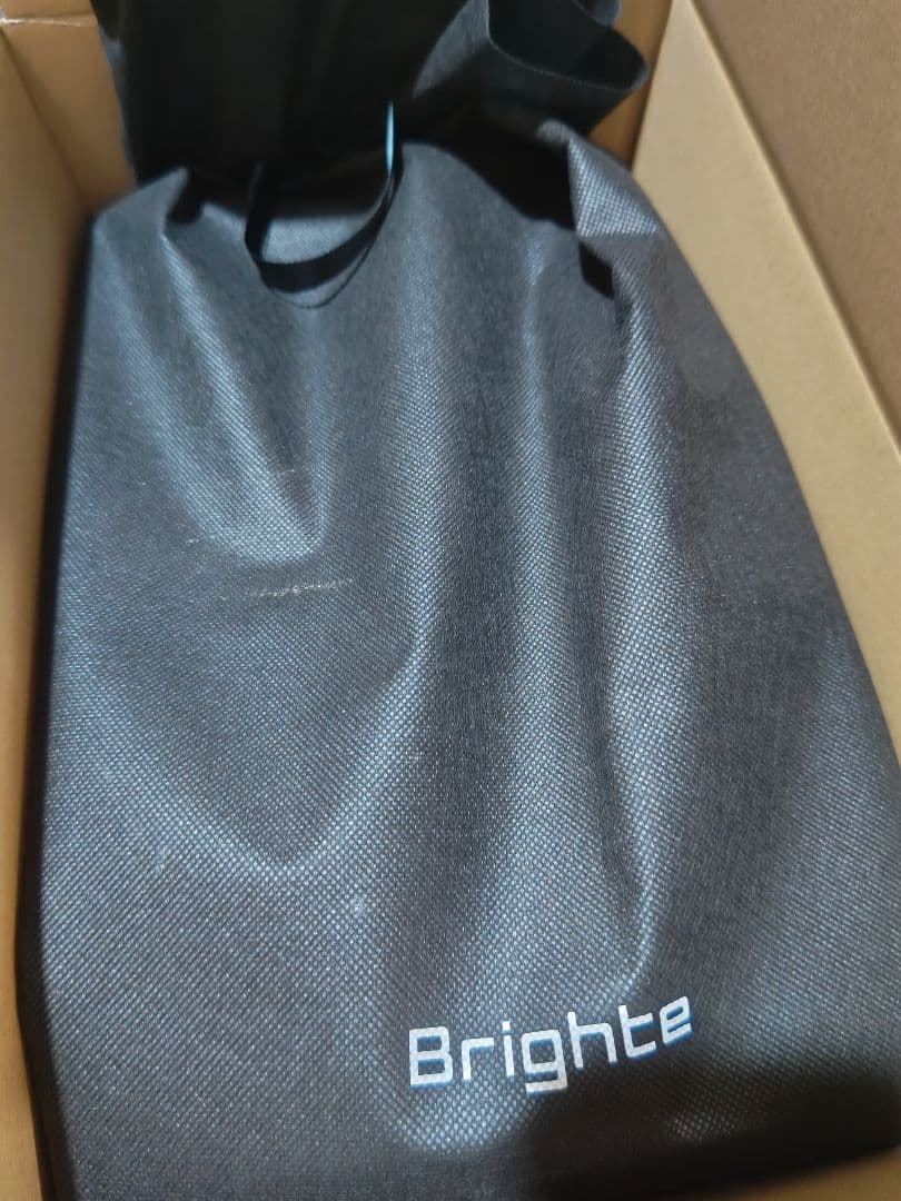 Brighte　限定版 ミッキーマウス ヘアドライヤー　ディズニー