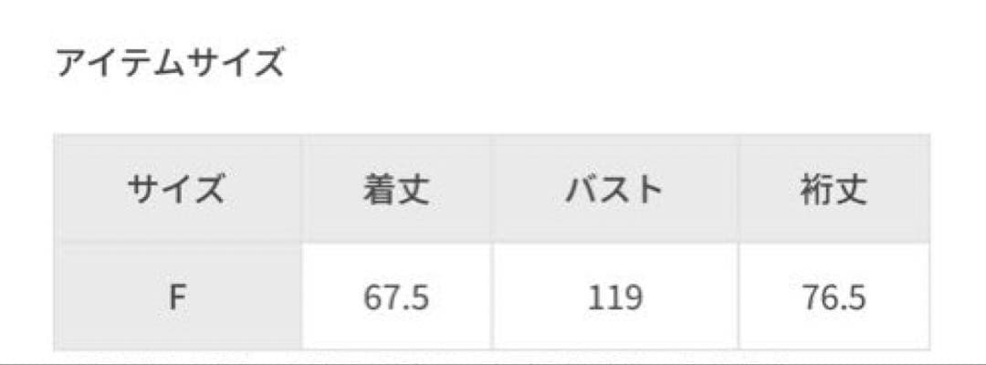 【美品】Pheeta pullover shirt (trinity)