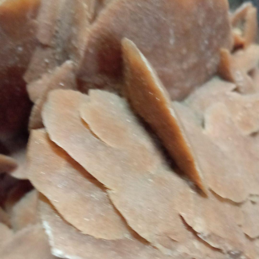 サハラのバラ　サハラ砂漠　化石