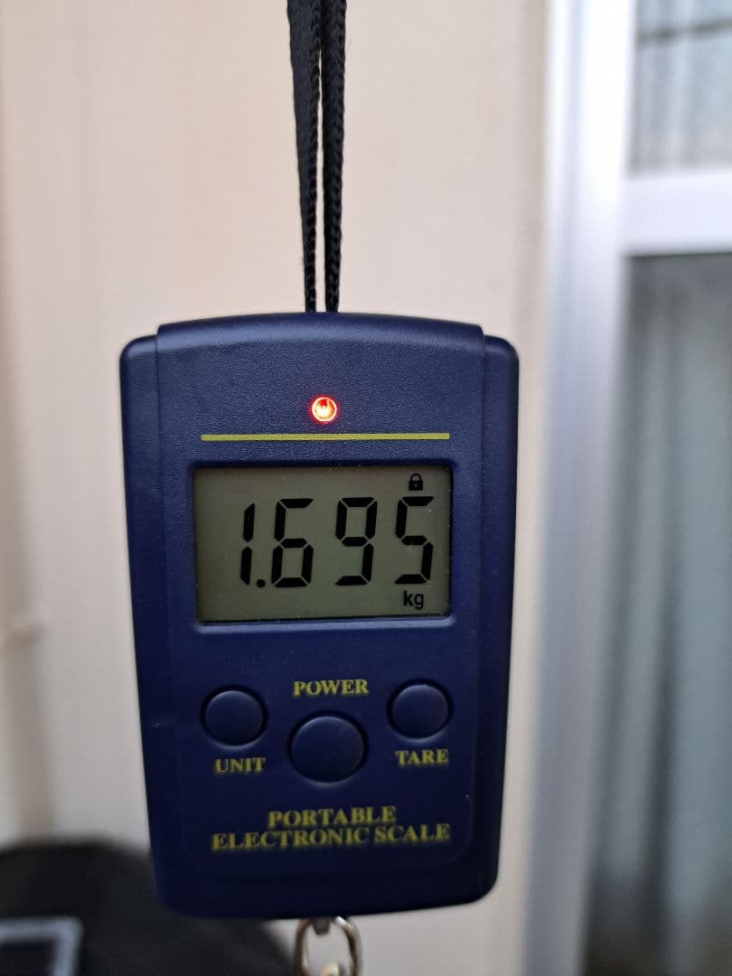 沖縄県産☆特大法螺貝