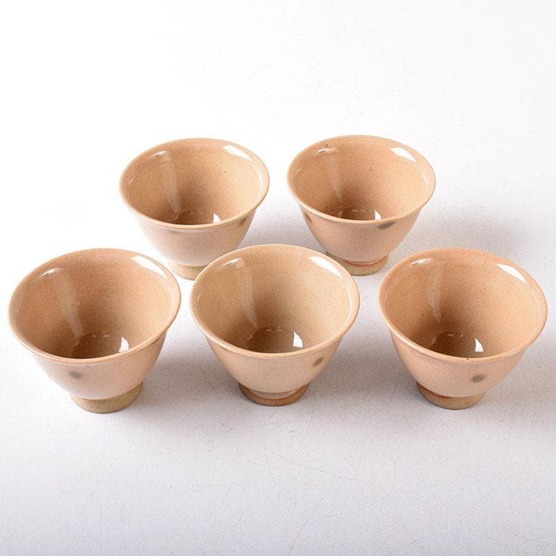 煎茶道具　虫明焼　煎茶器　5客　時代箱　V　8257