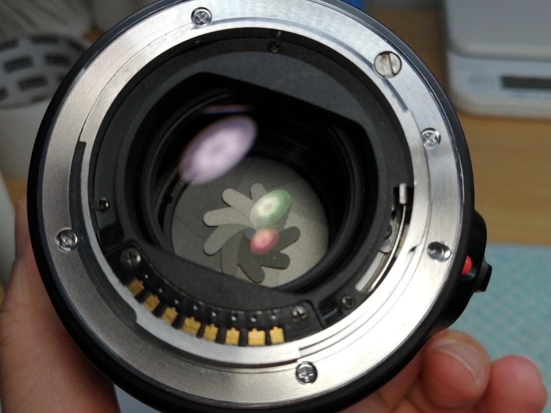 レンズ(単焦点) MINOLTA AF MACRO 100mm f/2.8 D #7813