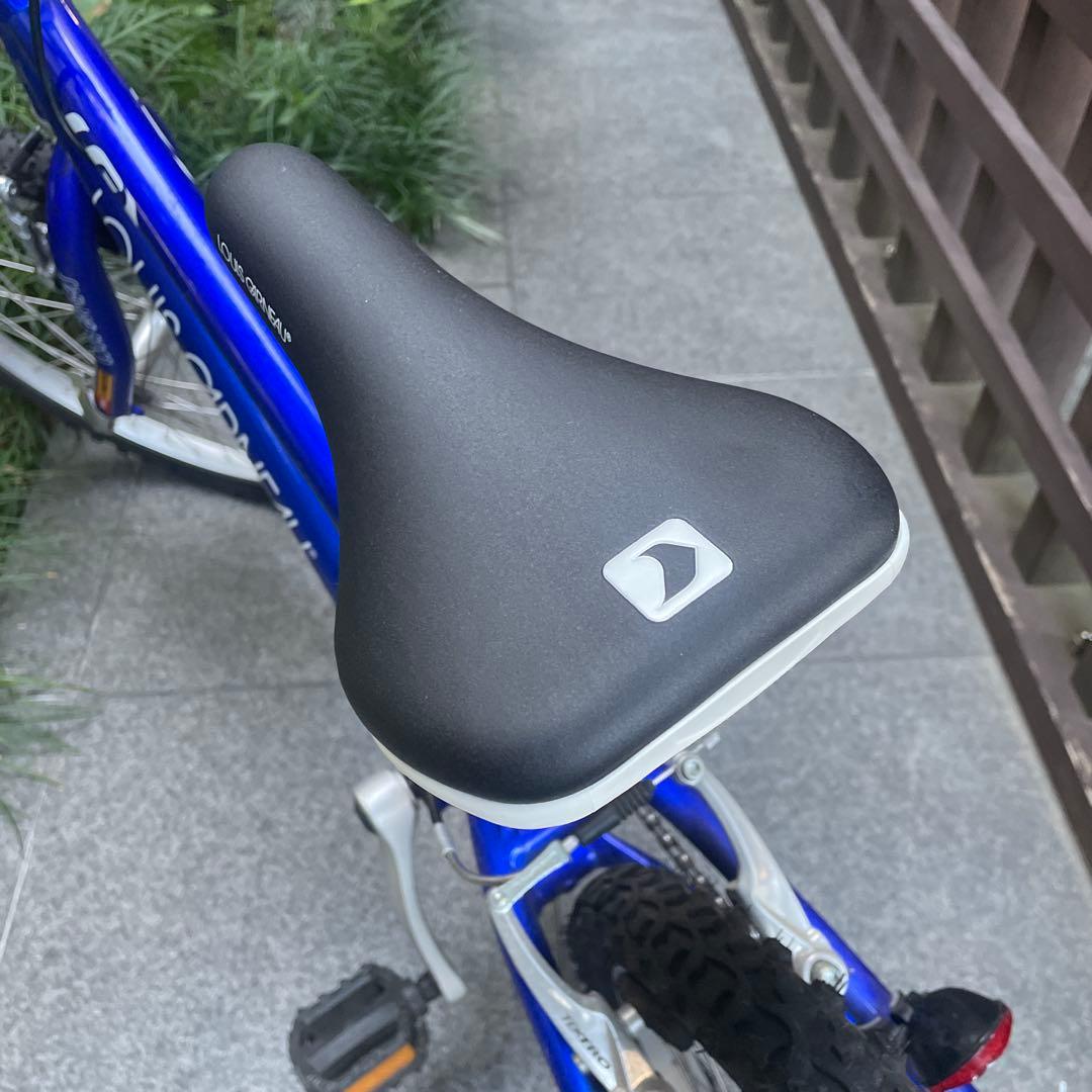 LOUISE GARNEAU 子供用20インチ/東京都　受け渡し限定