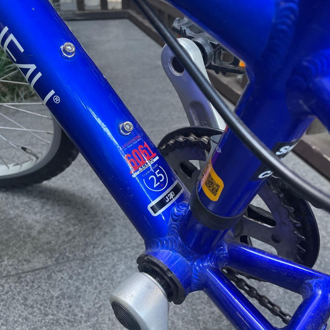 LOUISE GARNEAU 子供用20インチ/東京都　受け渡し限定