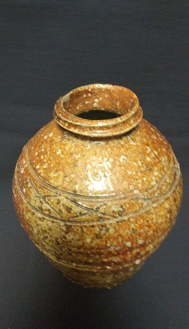 ❲蹲壺] 古信楽壺
