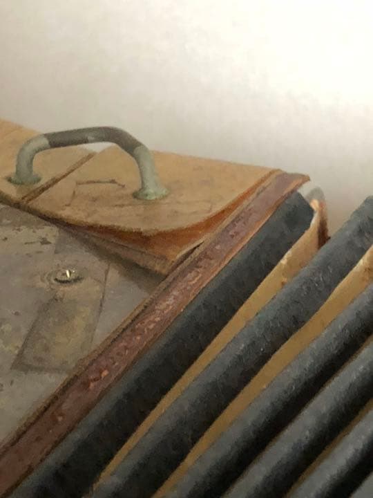 トンボ　　ACONY