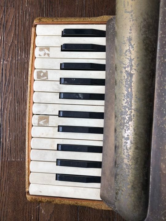 トンボ　　ACONY