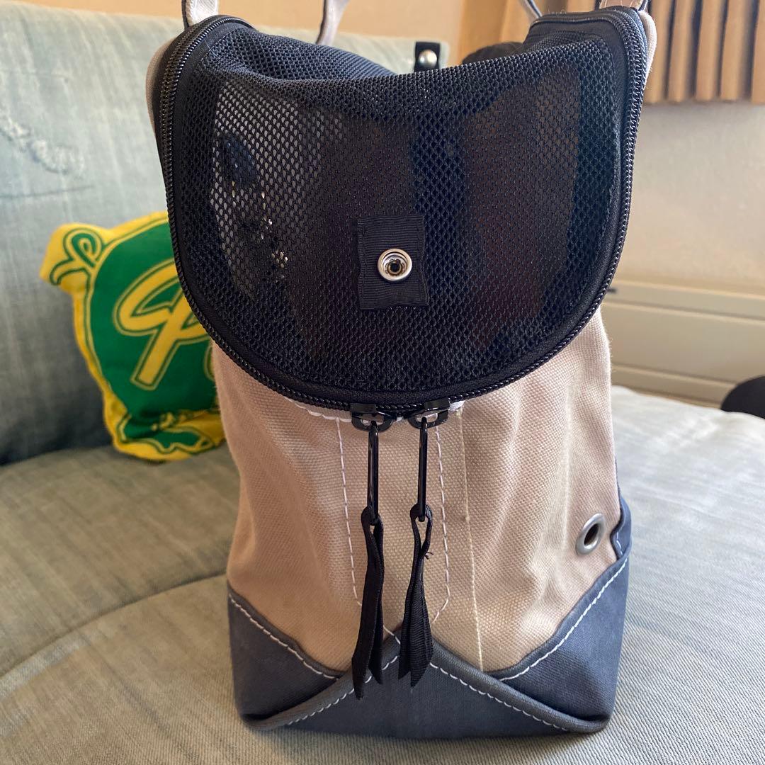 TEMBEAの愛犬用キャリーバッグ