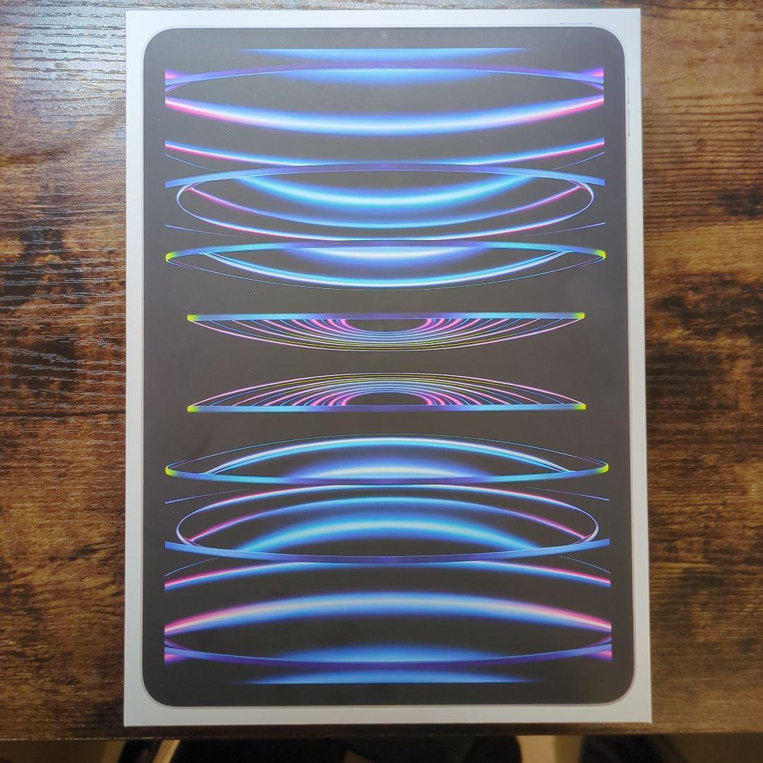 M2 iPad Pro11インチ（M2チップ128GB・セルラーモデル）第4世代