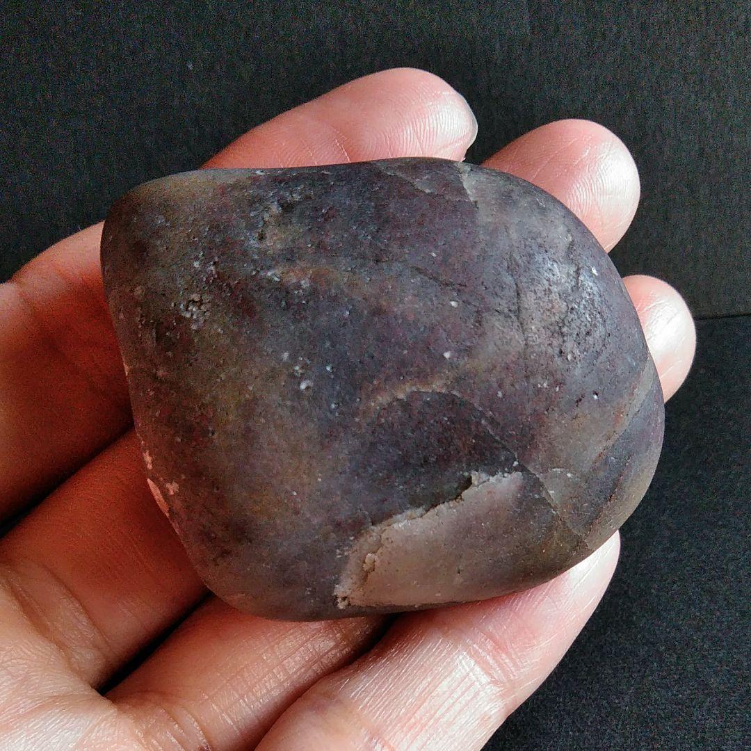 恐竜　化石　標本　胃石　ジュラ紀　52mm