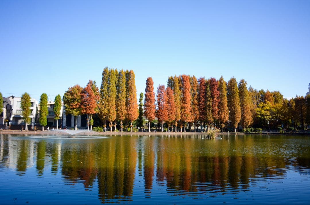 Nikon coolpixA DXフォーマット　コンデジ