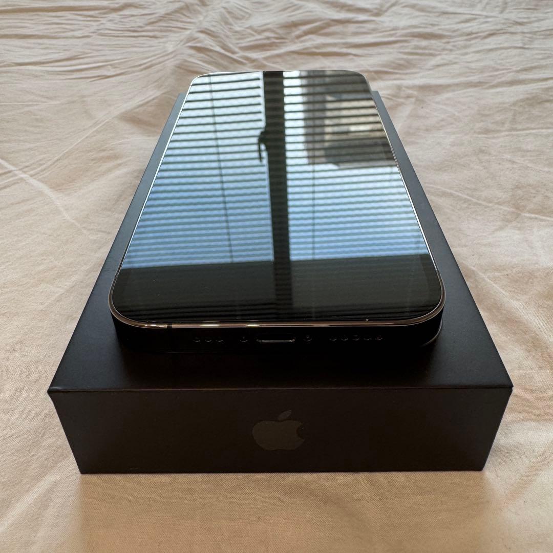 スマートフォン本体 Apple iPhone 13 Pro Graphite 256GB