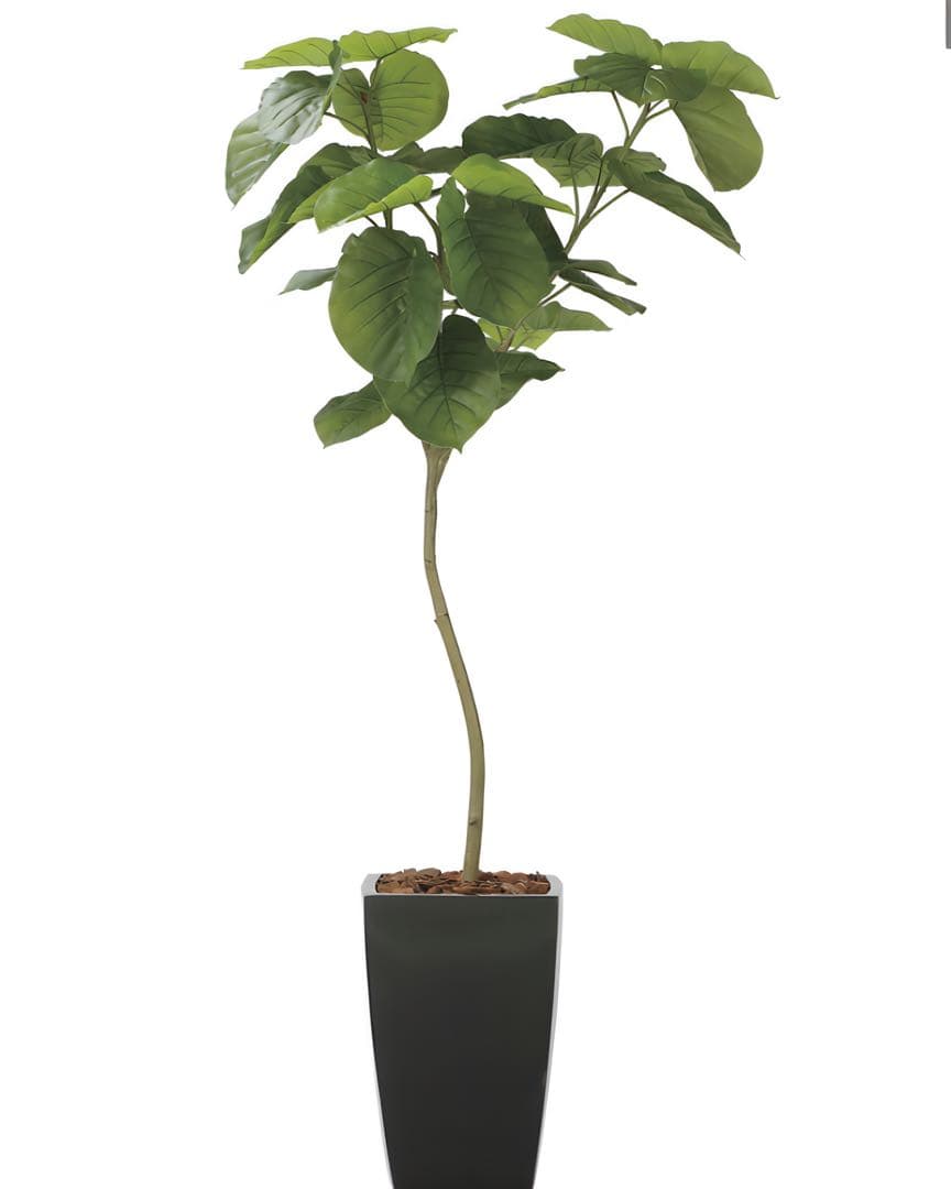 光触媒　人工観葉植物　フェイクグリーン　フレッシュアーバンウンベラータ1.8