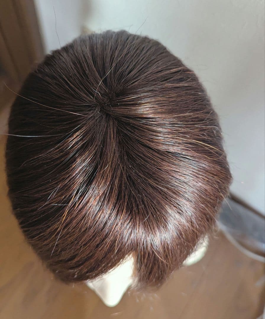 人毛100% 総手植え ハイクオリティトップピース 30cm