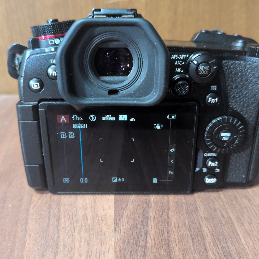 LUMIX G9 ミラーレス一眼 カメラ 本体(ジャンク)