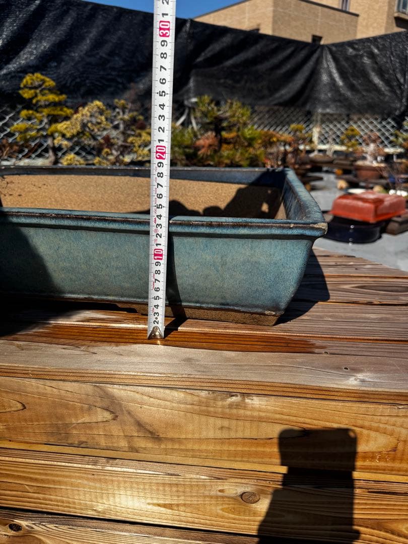 青色 陶器製 盆栽用鉢 22号