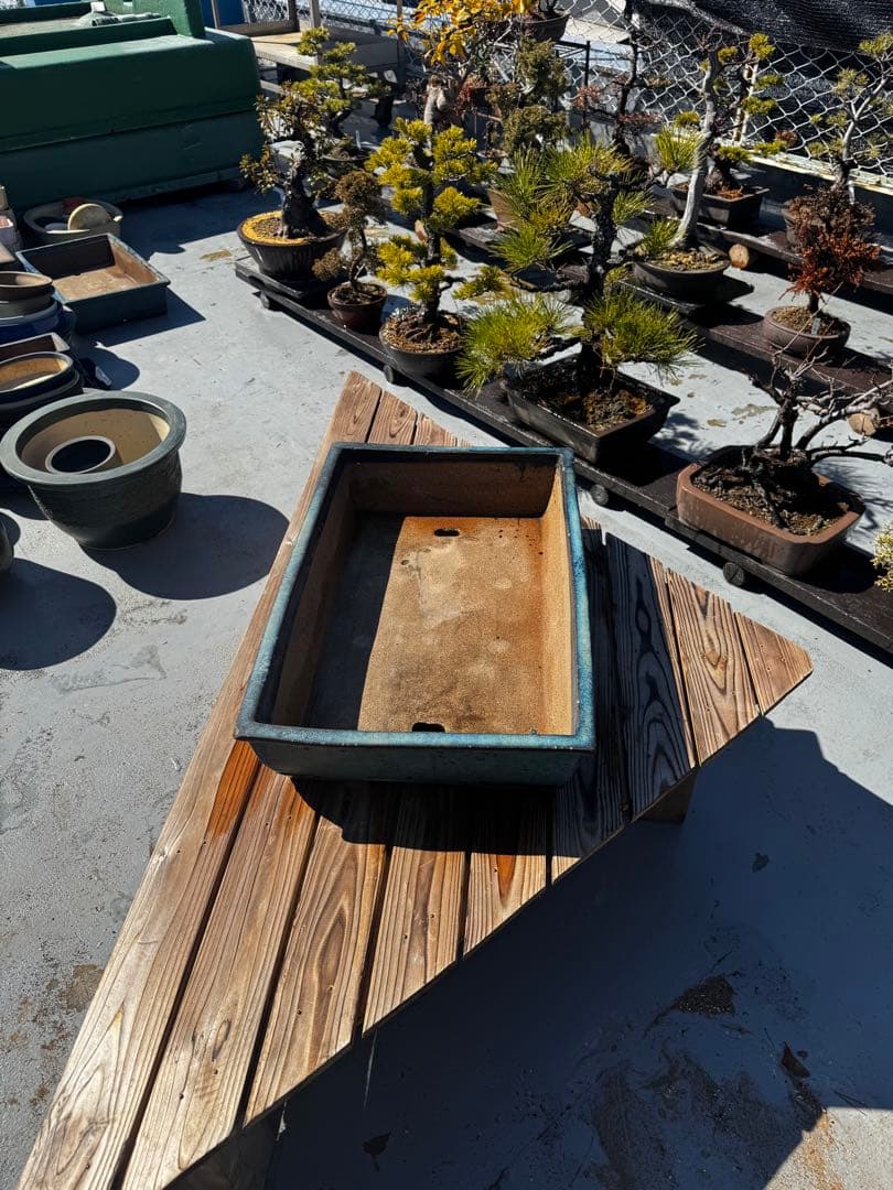 青色 陶器製 盆栽用鉢 22号